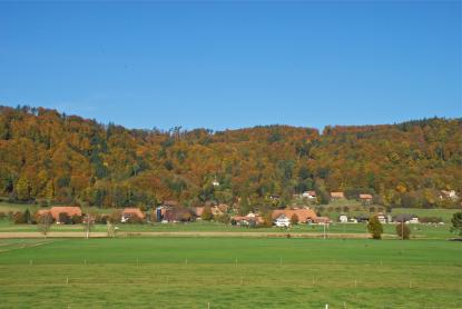 Geschichte Ortsteil Balm bei Messen
